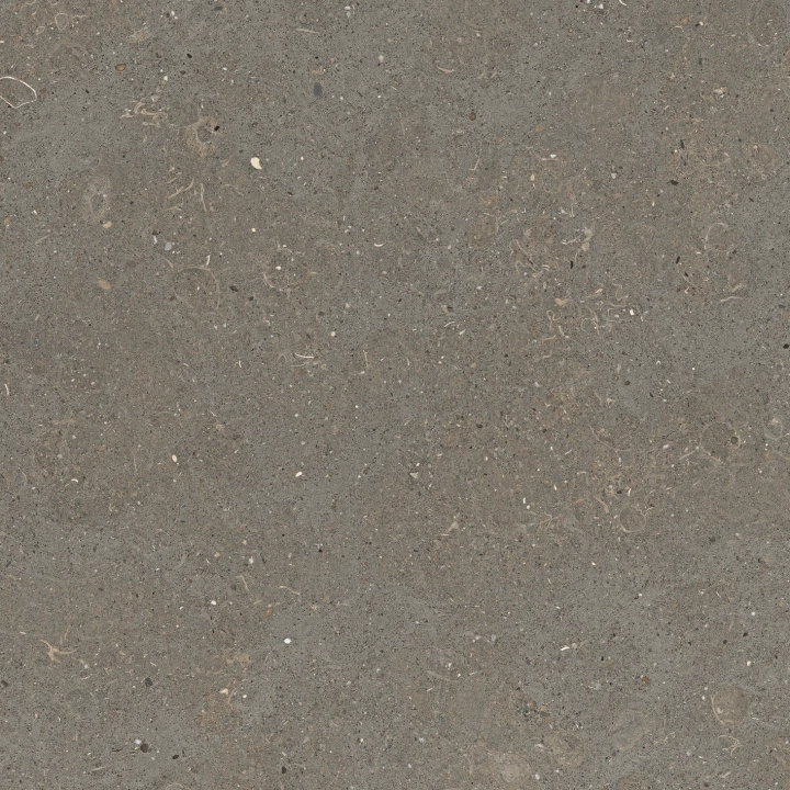 Graniti Fiandre Solida Grey płomieniowana 60x60 cm gr. 8 mm